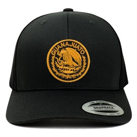 Trendy Apparel Shop Guanajuato Mexico Patch 6 Panel Trucker Mesh Cap - Black - Gold Patch