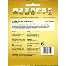 Picking Salad Fitness Mix / Babyleaf Mix