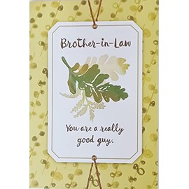 Greeting Card Brother-in-Law You Are A Really Good Guy - Hope You Have Day That's Full of All The Happy Things A Birthday Can Bring