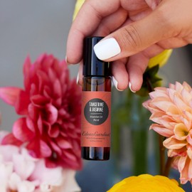 Edens Garden Tangerine Jasmine Essential Oil Blend, 100% Pure & Natural Premium Best Recipe Therapeutic Aromatherapy Essential Oil Blends, Pre-Diluted 10 ml Roll-On