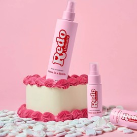 Redo Haircare Protect, Style & Shine Mini Trio Bundle