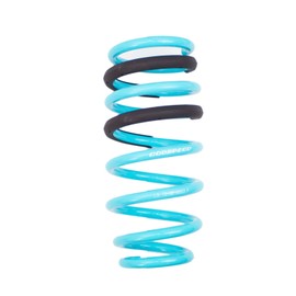 Godspeed LS-TS-DE-0003-B Traction-S Performance Lowering Springs, Reduce Body Roll, Improved Handling, Set of 4, compatible with Dodge Charger SRT8 (LD) RWD w/o Nivomat 2005-14
