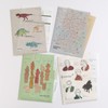 Green Flash STUDY HOLIC A5 Pocket Clear File Archaeology ST-338