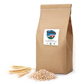 Soft Red Wheat Organically Grown in Michigan, Farmer Direct, USDA Organic Certified, Non-GMO, 10 Lbs Total // Findlay's Organics