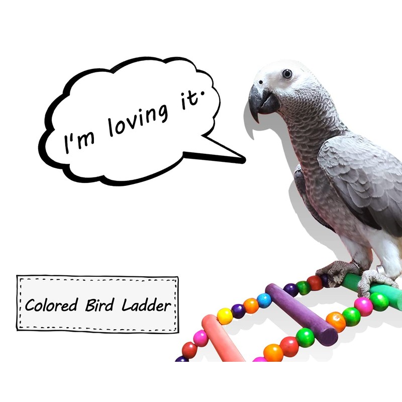 DS. DISTINCTIVE STYLE Bird Ladder Toys Coloured Flexible Parrot Swing