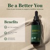 Global Healing Center - Organic Moringa Oleifera Extract Liquid Drops,