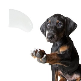 Pretty Claws 60 Piece Soft Nail Caps with Adhesive for Dog Claws - Snow White Small