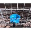 RNL RabbitNippLes.com 10Pcs Rabbit Watering Cup Drinking Feeder Bowl waterer