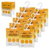 wisedry 100 Gram Moisture Absorber Packets of 10