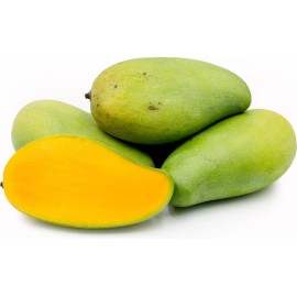 Tree PRAM KAI MEA MANGO TREE GRAFTED (3 Feet Tall).