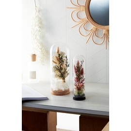 Paseo Cork Glass Dome NL Size: Approx. φ0.4 inches (10 mm) H30 48-1030NL