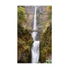 CafePress Multnomah Falls Oregon Rectangle Bumper Sticker Car Decal