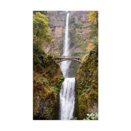 CafePress Multnomah Falls Oregon Rectangle Bumper Sticker Car Decal