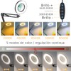 HASTHIP® 10X Magnifying LED Desk Lamp, USB-Powered Dimmable Ring Light