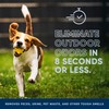 Outdoor Odor Eliminator | Outside Dog Urine Enzyme Cleaner –
