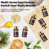 MAYJAM Fragrance Oil Gift Set, Top 20 Essential Oils Variety