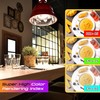 E12 LED Candelabra Bulb 100Watt Equivalent, 4000K Natural White, E12