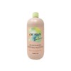 Inebrya Ice Cream Balance Shampoo Seboregolatore 1000 ml