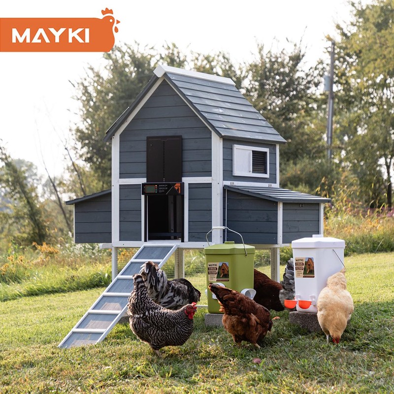 MAYKI Automatic Chicken Coop Door Solar Powered, Accessories Extra-Large with