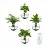 OQUQO 4 pcs Glass Wall Hanging Planter, Oval Terrarium Vase,