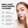 ROUND LAB - Birch Juice Moisturizing Cleanser [150ml]
