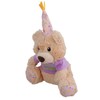 AB Tools Super Soft Plush Squeaky Birthday Bear Dog Puppy
