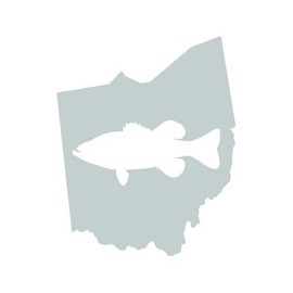 RDW Ohio Bass Sticker - Decal - Die Cut - State Shaped Largemouth Sport Fishing Fish OH - Silver 6.00" x 7.38"