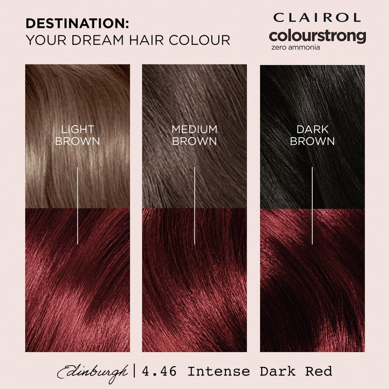 CLAIROL COLOUR STRONG PERMANENT HAIR DYE - 4.46 INTENSE DARK