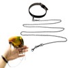 Copfeu Bird Foot Chain Flying Stainless Steel Training Rope with