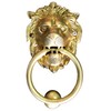 Esplanade StonKraft Brass Lion Sculpted Door Knocker Gate/Door Accessories -