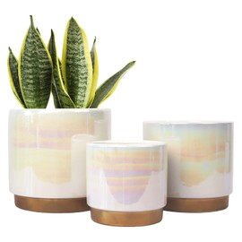 Gepege White Indoor Pots for Plants, Ceramic Planter with Drainage Hole, 6.0 inch+5.0 Inch+4.0 Inch. Succulent Orchid Flower Pot - Rainbow Pearl Glaze