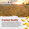 Barlean's Organic Oils Fresh Flax Oil Softgels, 100 Count Bottle