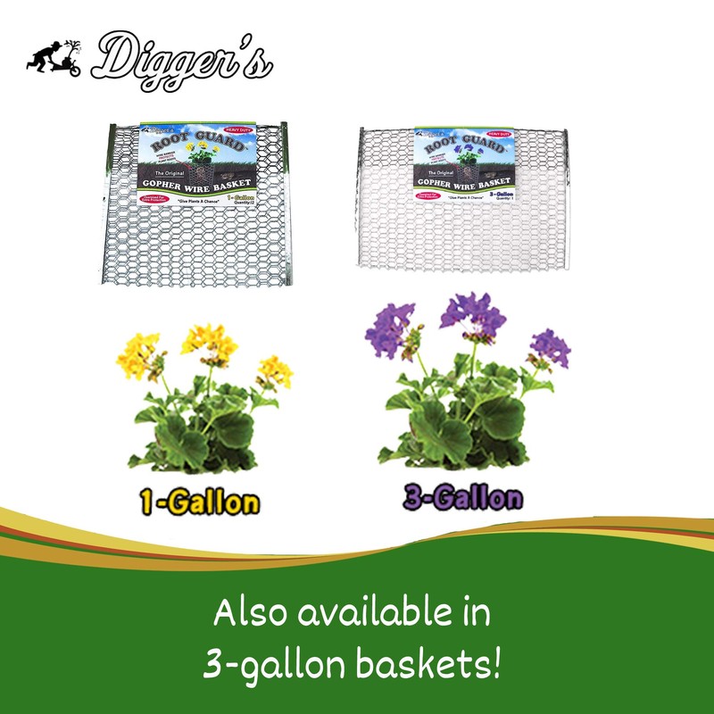Digger’s 1-Gallon Heavy-Duty Wire Basket - Gopher Wire Basket for