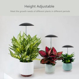 Witsanlex LED Grow Lights for Indoor Plants 2 Pack, Smart USB Small Full Spectrum Plant Lights with Remote, Height Adjustable, Auto On/Off Timer, Ideal for Home Decoration, Black