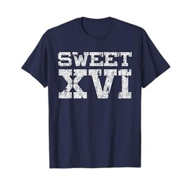Funny Sweet 16 XVI Roman Numerals Math Birthday T-Shirt