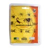 REAL BUG Scorpions & Spiders, Set of 4
