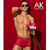 Arjen Kroos Mens Boxer Briefs Breathable Hot Mesh Underwear