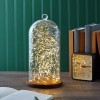Farmlyn Creek Glass Cloche Dome Bell Jar Display Case with