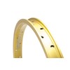 Eastern Bikes Throttle Series 20" BMX 36H Double Wall Alloy