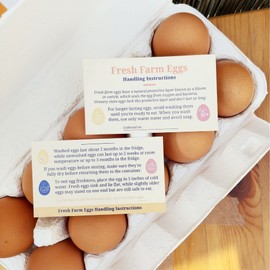 Havongki 100 Pack Premium Fresh Farm Eggs Handling Instructions Care Accessories Cards Labels | Egg Blank Cartons 4 6 12 15 18 30 48 50 Count Basket Box Container Storing Extra Organizer -M06CH100