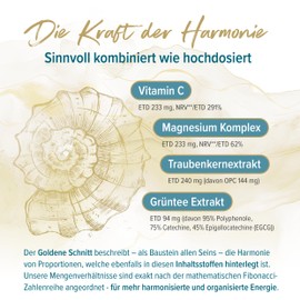 FUNDAMENT Nährstoff Komplex Nahrungsergänzungsmittel mit Magnesium Komplex, Camu Camu, OPC & Grüntee