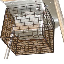 All Seasons Feeders - Varmint Basket -