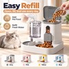 Automatic Cat Feeder and Water Dispenser for Daily Feeding –