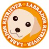 Stare Labrador Retriever Yellow Dog Sticker Orange Back Round Large