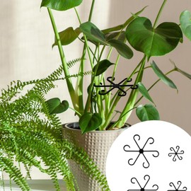 HJIAMA Pack of 20 Plant Clips, Flower Shape Plant Holder Clips, 4 Sizes, Plastic Flower Support, Black, Plant Support Round to Support Flowers