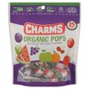 Charms, Assorted Organic Pops, 4.49 Ounce, 25 Count