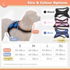Zenify Pets Dog Harness - Chest Control Grab Adjustable Reflective