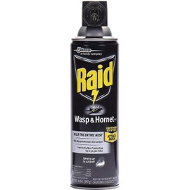 Raid Wasp Hornet Killer Spray (14 Ounce (Pack of 10))