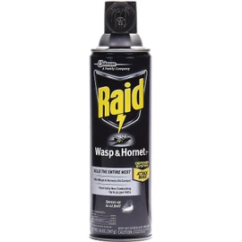 Raid Wasp Hornet Killer Spray (14 Ounce (Pack of 10))