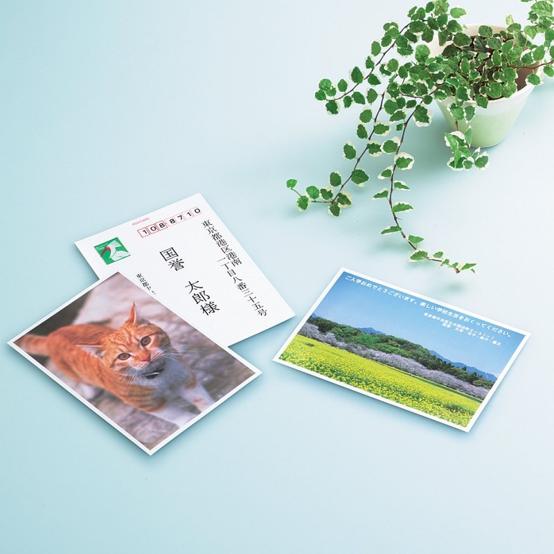 コクヨ インクジェット はがき用紙 光沢紙 70枚 KJ-GP3635